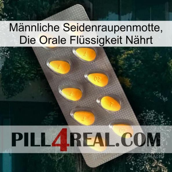 Männliche Seidenraupenmotte, Die Orale Flüssigkeit Nährt cialis1.jpg